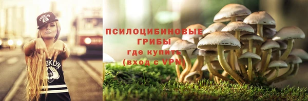 наркотики Бородино