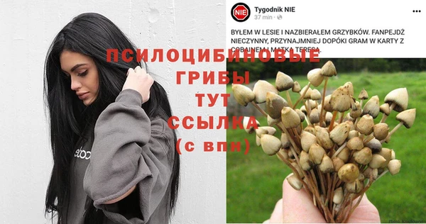 гидра Бронницы