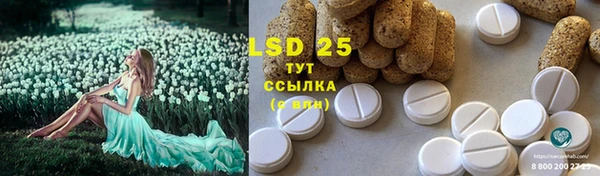гидра Бронницы